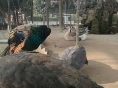 -陕西自然博物馆