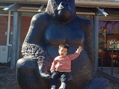 -威勒比开放式动物园