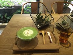 抹茶拿铁-柴务处·柴犬主题狗咖