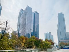 -重庆市江北嘴中央商务区中央公园