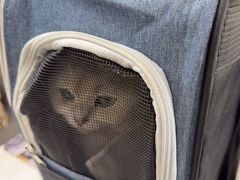 -贝康宠物医院·犬猫全科·小动物特色诊疗中心(东环路店)