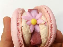 半熟花花马卡龙玫瑰双莓芝士味-好利来(幸福一家店)