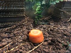 -上海昆虫博物馆