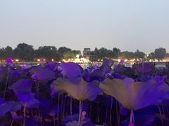 -小王府(什刹海店)