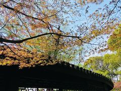 -红梅公园