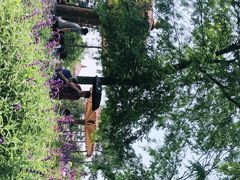 -铁山坪森林公园