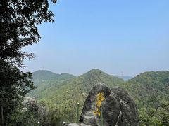 -南山植物园