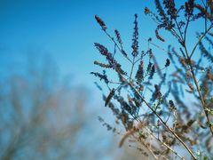 -梁鸿国家湿地公园