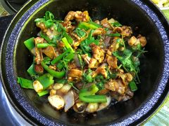 -石岐乳鸽村(南海第三分店)