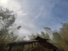 -宁波浙东大竹海景区