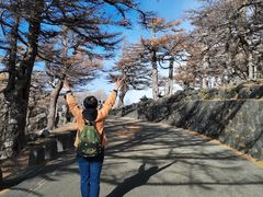 -富士山吉田線五合目