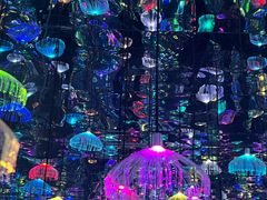 -上海梵高星空艺术馆(南京路旗舰店)