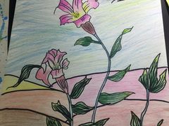 -上海峰子美术教育培训机构(杨浦店)