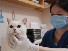 -瑞派中心宠物医院·CT·核磁·神经专科