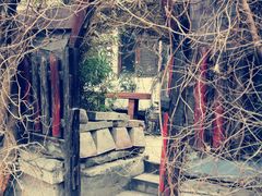 -斯多格书乡(北京大学畅春园店)