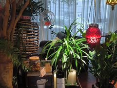 -陶享时光西餐·下午茶·竹林花园(新城店)