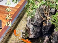 -森味薪火烧•烧鸟居酒屋•日本料理(望京店)