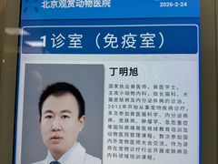 -北京观赏动物医院·24小时大型综合·猫专科·异宠专科