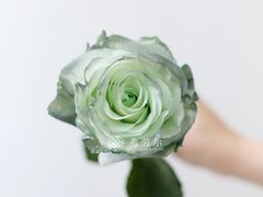 -弗劳尔花艺坊(龙涛店)