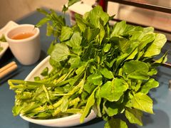 -邹开喜·小海鲜醉鸡煲·潮汕鲜切牛肉店(襄阳北路店)