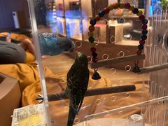 -御海8号温泉酒店