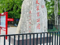 -大望京公园