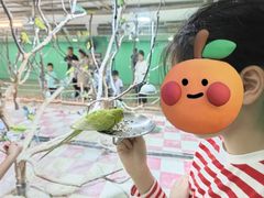 -上海大自然野生昆虫馆(东方明珠·爬宠昆虫探索中心)