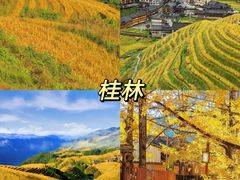-塔川景区