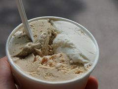 -Dip in Gelato(富民路店)