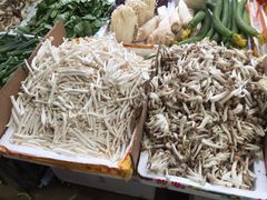 -大连熟食品交易中心