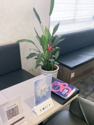 -上海玫瑰医疗美容医院