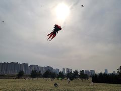 -汉长安城未央宫国家考古遗址公园