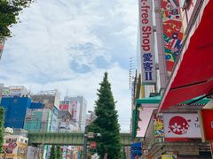 -秋叶原电器街