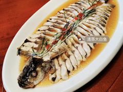 -老江南春·中国龙菜(衡山路店)