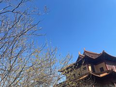 -南京市江宁方山