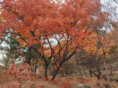 -百里山水画廊