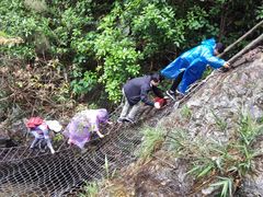 -牛鱼嘴原始生态风景区