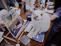 -青沐画室·专业美术培训