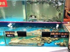 水产区-颐千海味渔小馆(大三元街店)