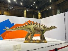 -国家自然博物馆