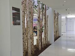 -极简口腔(总院)