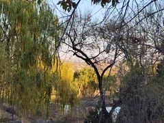 -北京西山国家森林公园