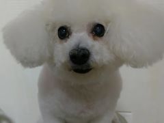 -北京观赏动物医院·24小时大型综合·猫专科·异宠专科
