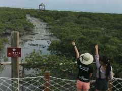 -北海金海湾红树林生态旅游区