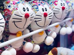 -重庆南山海昌汤都