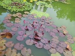 -国家植物园南园