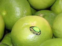 -上海龙吴水胜海发市场