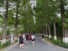 -黄海国家森林公园