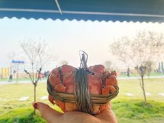 -七的湖·晚芳亭·阳澄湖农家菜·大闸蟹(莲花岛店)