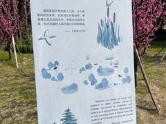 -同里国家湿地公园